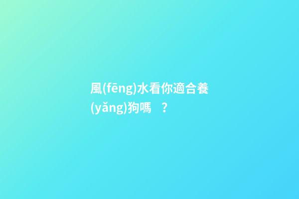 風(fēng)水看你適合養(yǎng)狗嗎？
